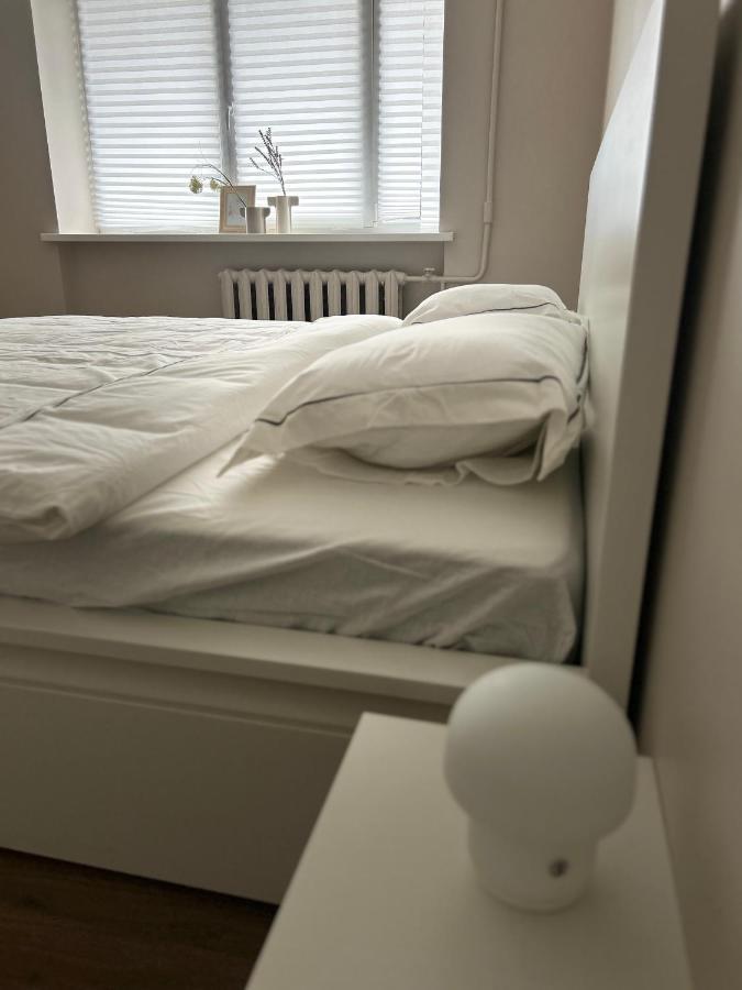 Skandi Appartments In Saldus City Center Ngoại thất bức ảnh