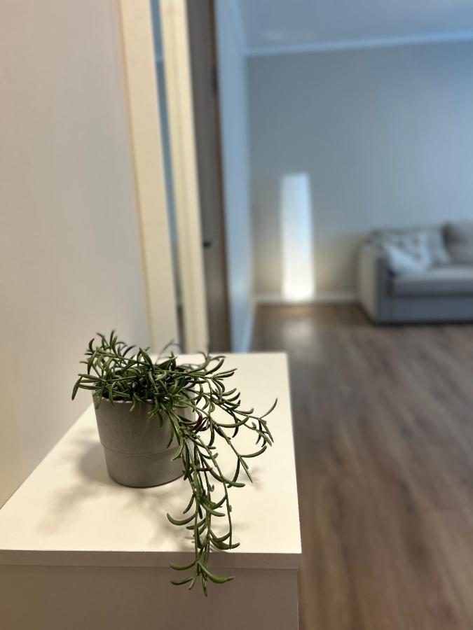 Skandi Appartments In Saldus City Center Ngoại thất bức ảnh